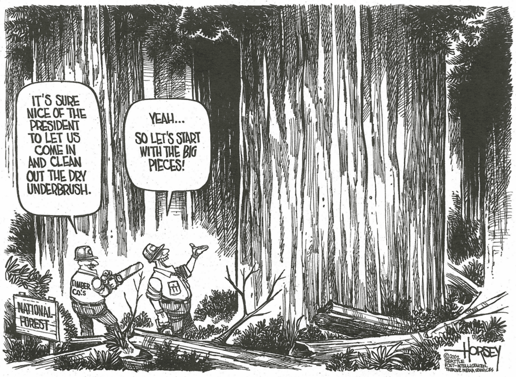 National Forest Logging 2002 Cartoon - Oregon Wild